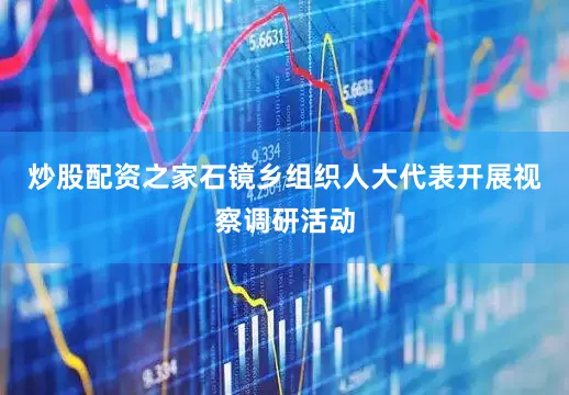 炒股配资之家石镜乡组织人大代表开展视察调研活动