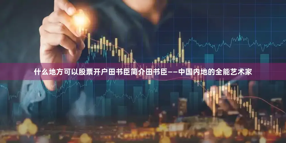 什么地方可以股票开户田书臣简介田书臣——中国内地的全能艺术家