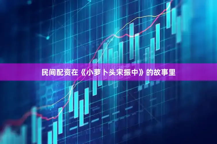 民间配资在《小萝卜头宋振中》的故事里